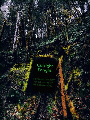 cover image of Outright Enright